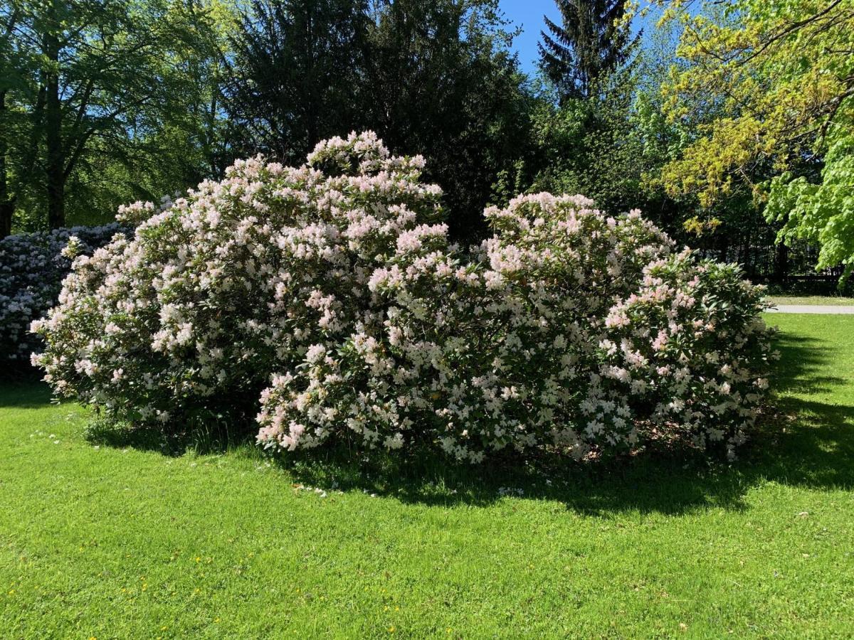 Schlosspark Grubhof - Mitterer *